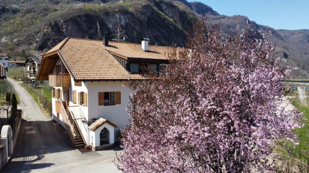 Versigglhof Appiano Sulla Strada Del Vino Exteriér fotografie