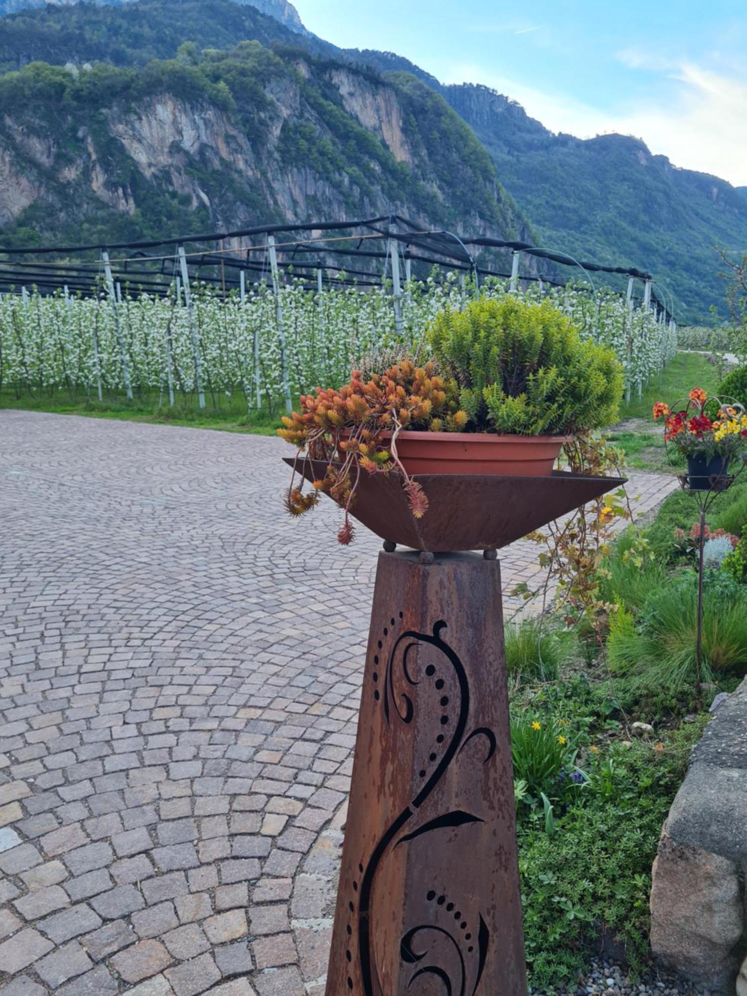 Versigglhof Appiano Sulla Strada Del Vino Exteriér fotografie