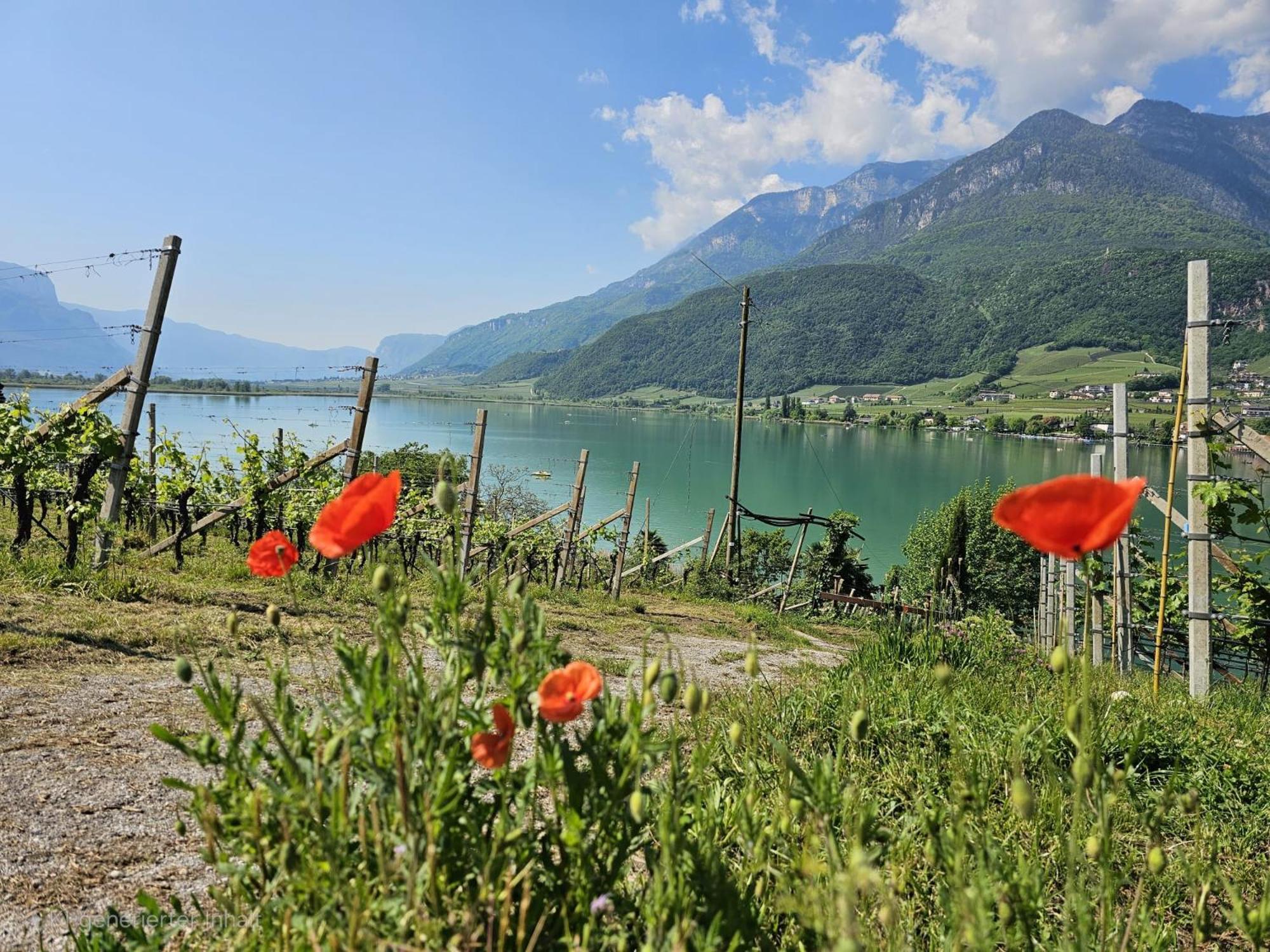 Versigglhof Appiano Sulla Strada Del Vino Exteriér fotografie