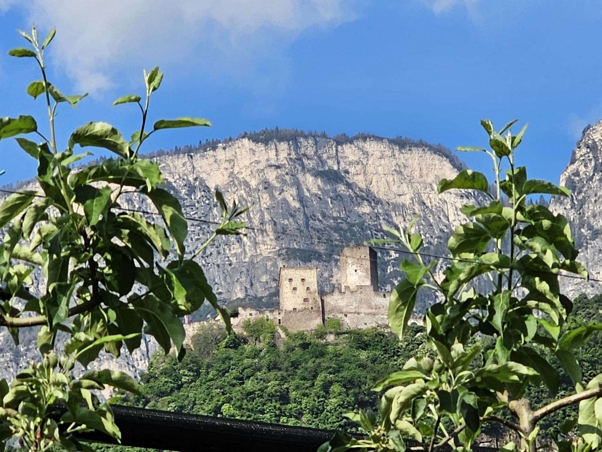 Versigglhof Appiano Sulla Strada Del Vino Exteriér fotografie